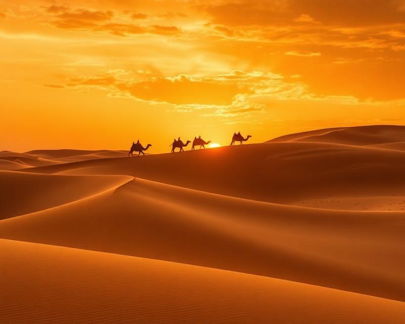 Deserts & extreme terrain